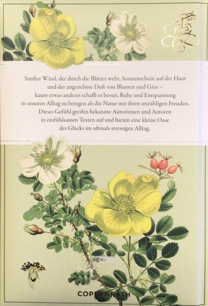 Der Weg zum Glück führt durch die Natur